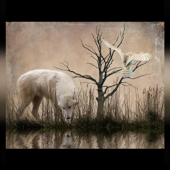 Meet your Posher, Doris - Picture 14 of 16